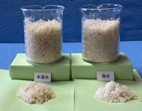 フューゲルST回収状態